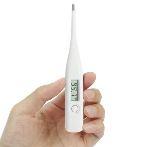 Digital LCD Oral | Armpit | Rectal Thermometer - White Cap